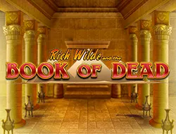 cashimashi book of dead