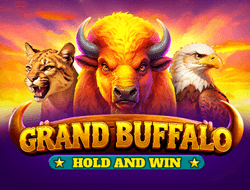 cashimoshi grand buffalo
